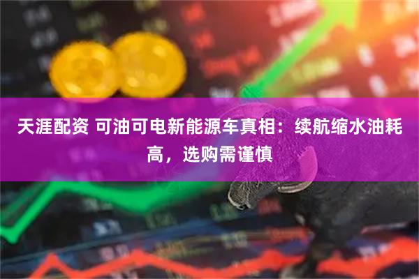 天涯配资 可油可电新能源车真相：续航缩水油耗高，选购需谨慎