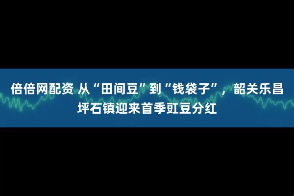 倍倍网配资 从“田间豆”到“钱袋子”,韶关乐昌坪石镇迎来首季豇豆分红
