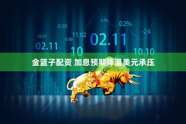 金篮子配资 加息预期降温美元承压